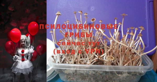 ECSTASY Горнозаводск