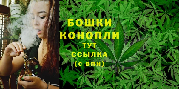 MESCALINE Горняк