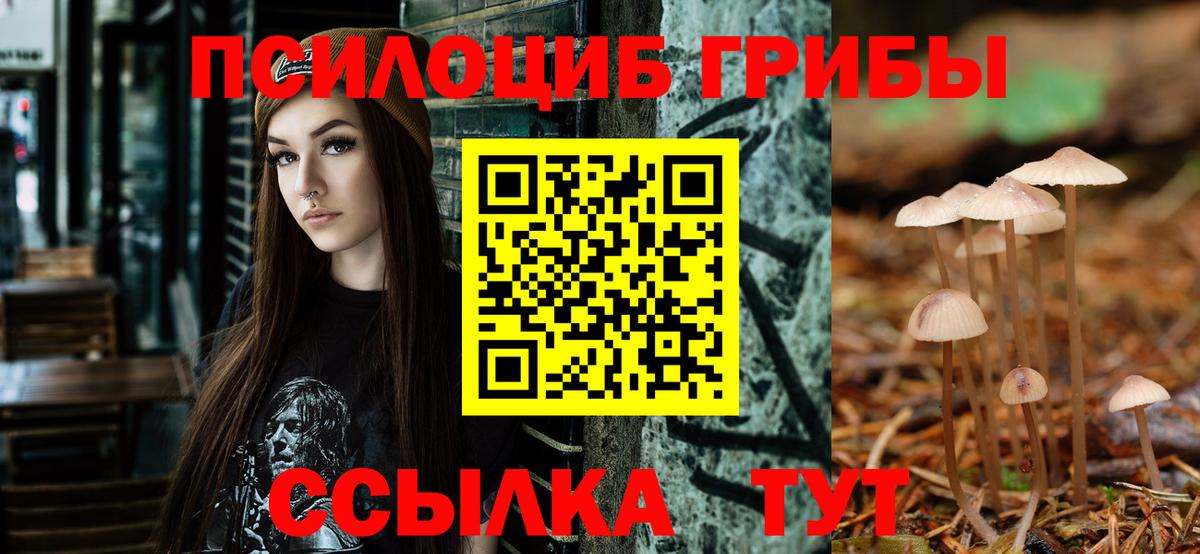 Псилоцибиновые грибы мухоморы Ялта