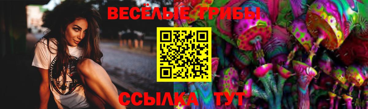 Галлюциногенные грибы MAGIC MUSHROOMS  Вход с VPN  Ялта  Псилоцибиновые грибы мухоморы 